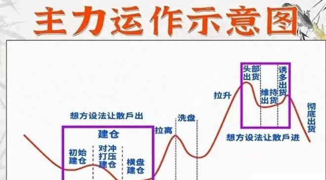 股票投资必看！主力资金运作规律及四阶段应对策略解析
