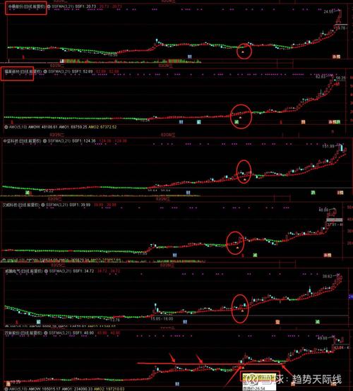 证券宝app_券商开户申宝股票要怎么注册_申宝证券