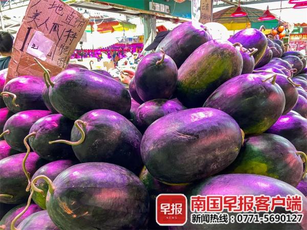 夏日消暑产品价格_南宁西瓜价格走势_2025年黑美人西瓜行情