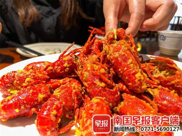2025年黑美人西瓜行情_夏日消暑产品价格_南宁西瓜价格走势