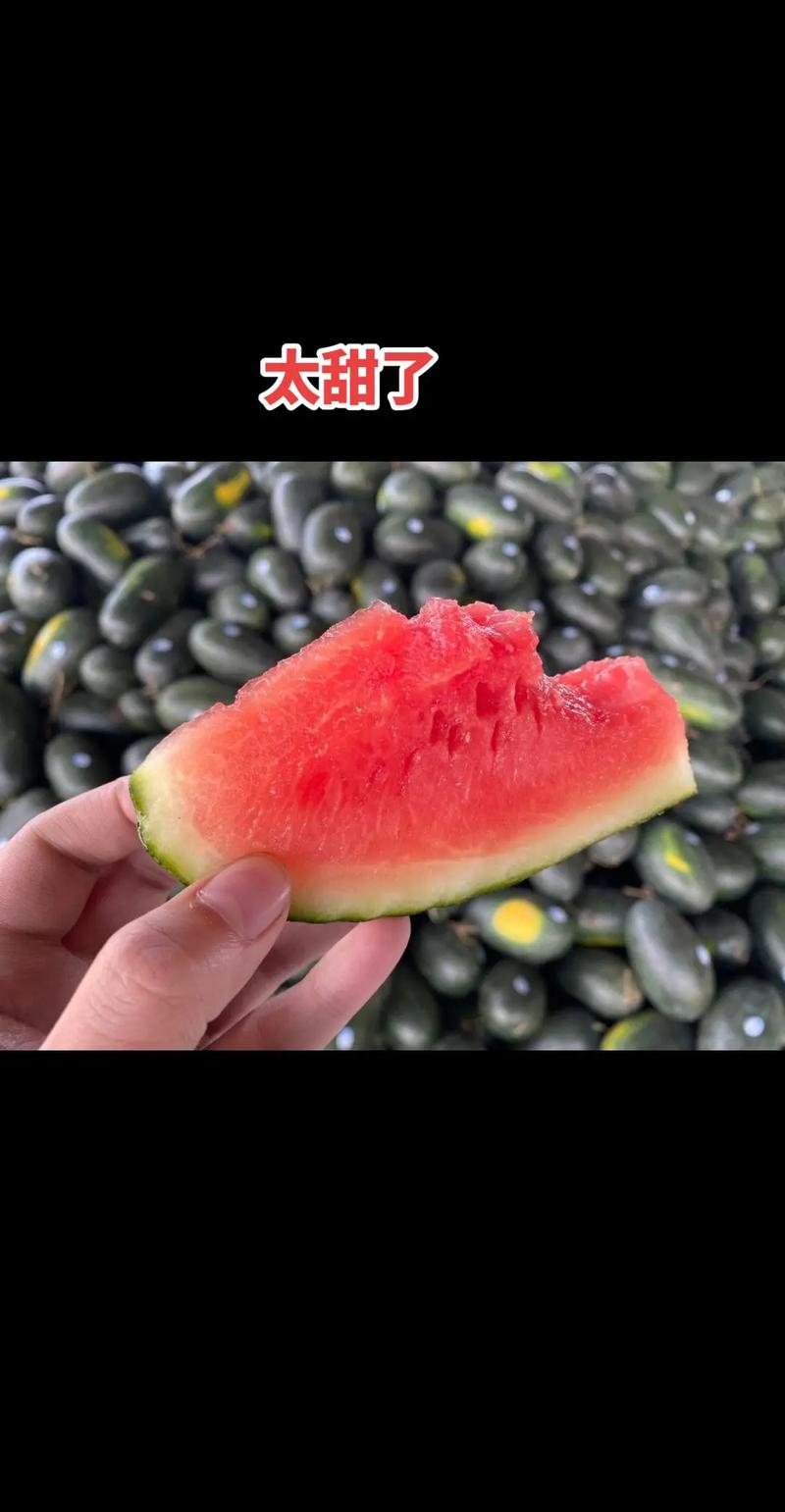 广西百色黑美人西瓜批发_2025年黑美人西瓜行情_夏季黑美人西瓜价格