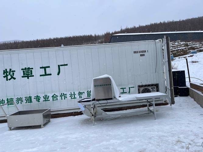 赤峰市巴林左旗：智能牧草工厂绿意盎然，四季产鲜草解饲料难题