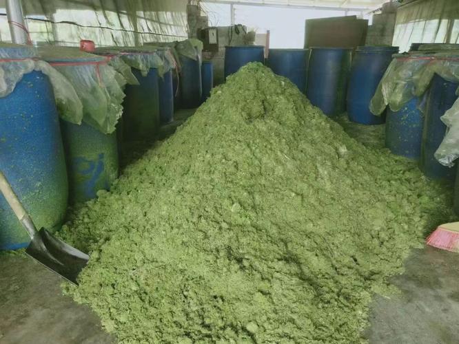 种牧草的行情及效益_水培牧草新技术应用_赤峰市巴林左旗智能牧草工厂