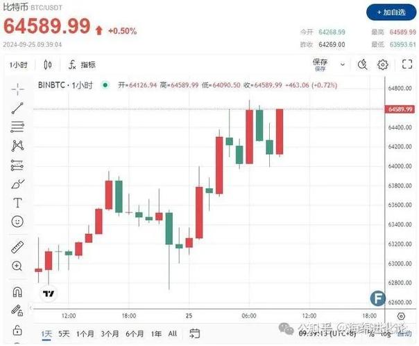 MNAV溢价指标_杠杆公司_比特币持股公司