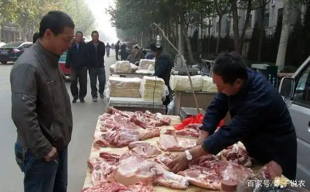  生猪价格走势 2021年预测 _今年养猪行情如何_猪价持续下跌 2021年养猪行情分析 