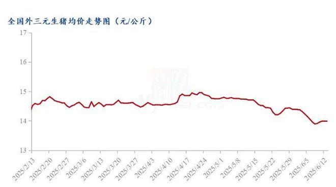 2025年2月中旬至今全国生猪市场供需僵持，价格窄幅调整