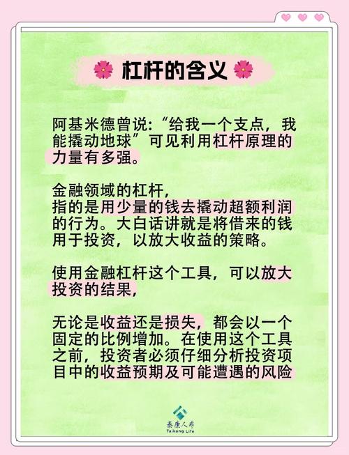 杠杆投资优势劣势分析_杠杆炒股家破人亡_股票杠杆风险