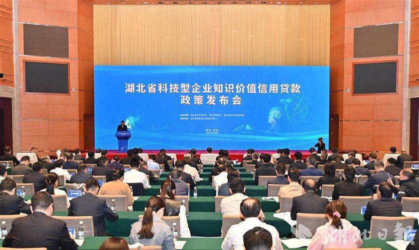 黄冈科技金融浪潮起，为科创企业架信用桥促发展