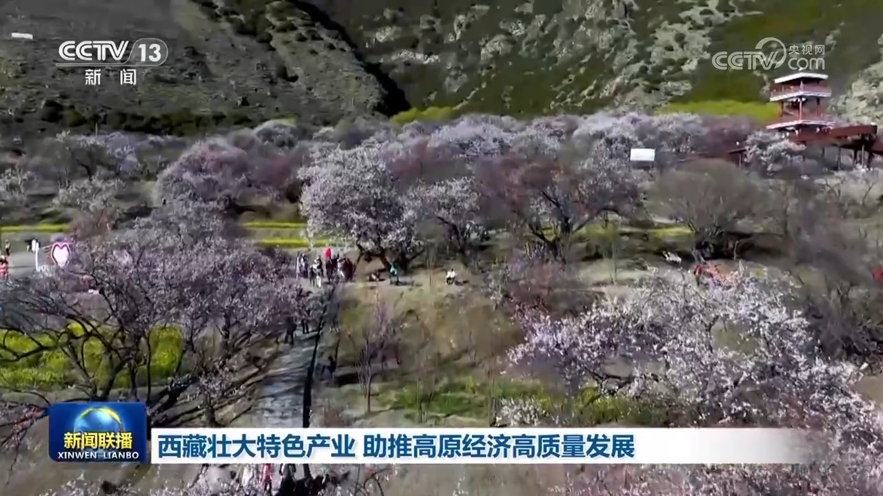 民营企业参与“两新”政策_中国经济增长预期上调_中国经济发展态势