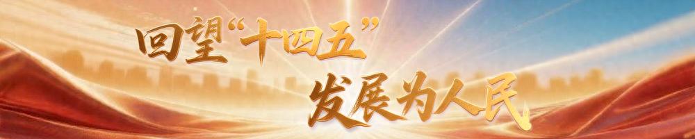 十四五规划实施就业优先战略，稳就业促民生成果显著