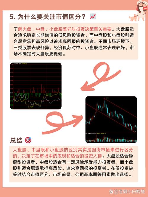 大盘股特点_大盘股和小盘股区别_大盘股投资策略