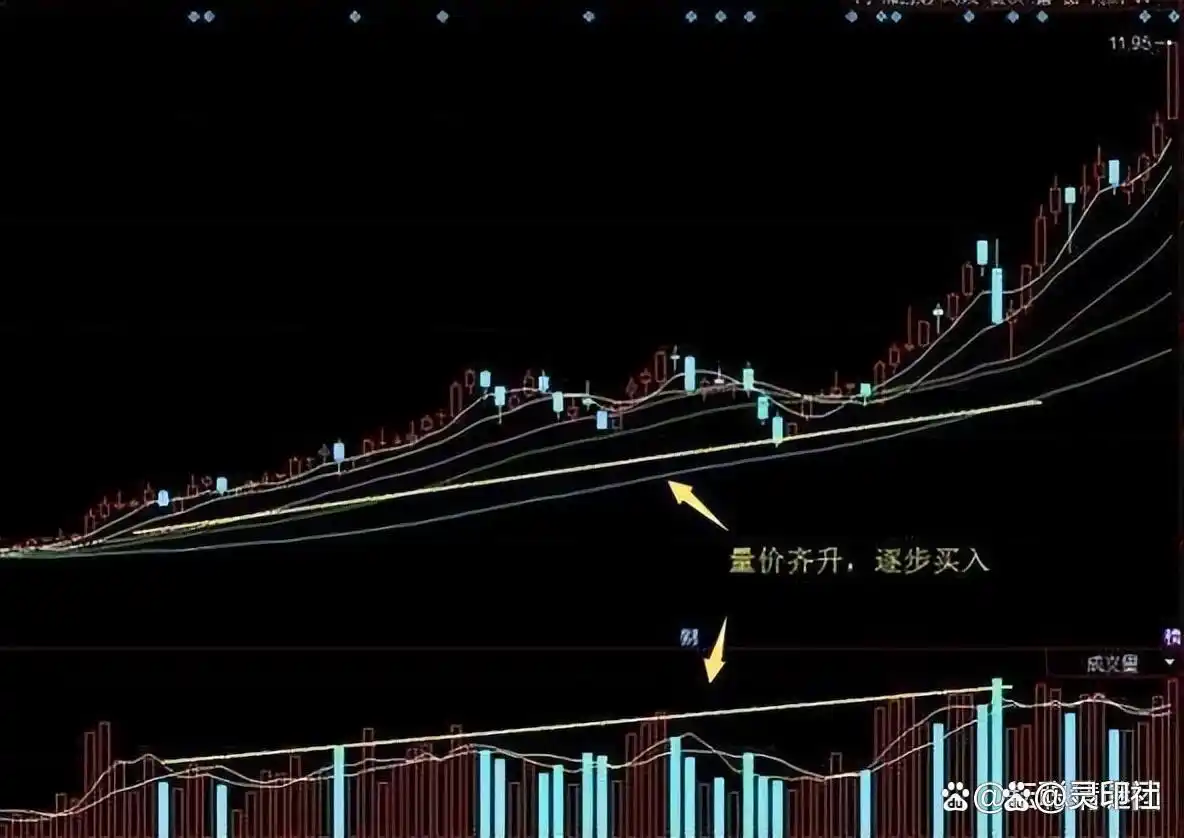 A股退市新规_a股大盘 在等什么_券商业绩增长
