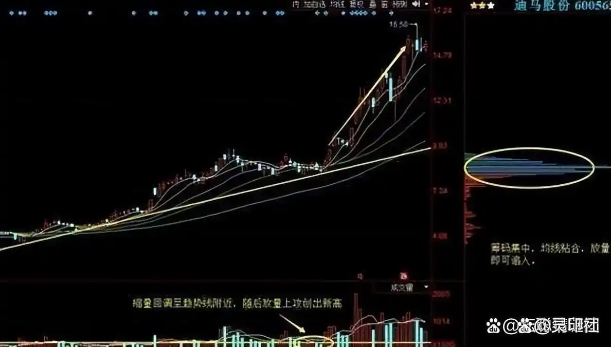 券商业绩增长_A股退市新规_a股大盘 在等什么