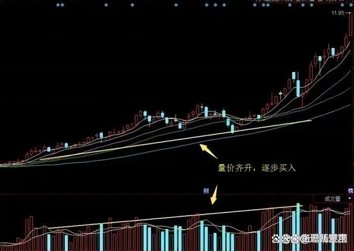 A股退市新规_a股大盘 在等什么_券商业绩增长