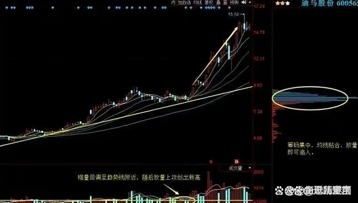 a股大盘 在等什么_券商业绩增长_A股退市新规