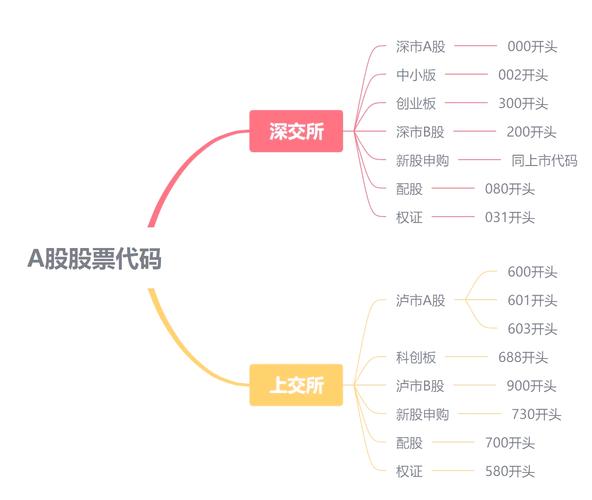股票入门基本知识：交易时间、代码含义全解析？