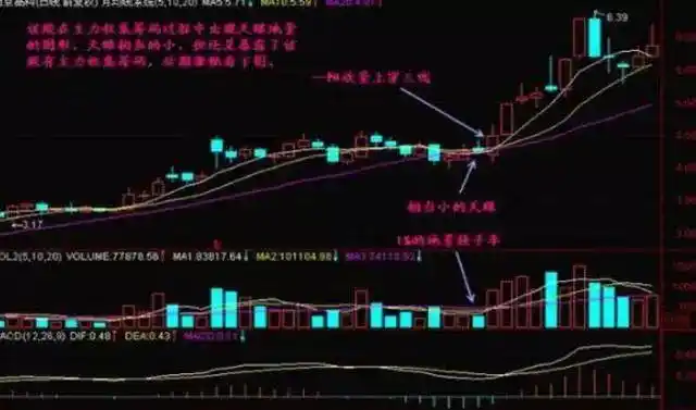 仓位管理_什么是股市二八行情_踏空与不满仓