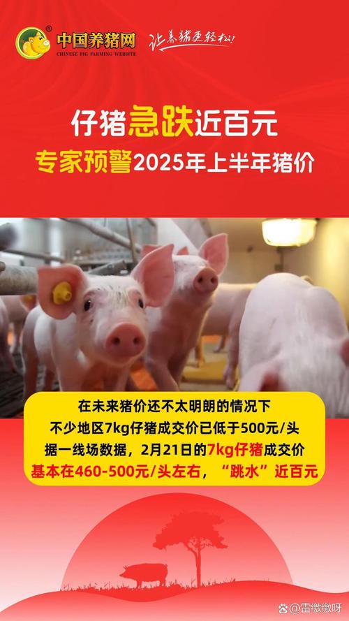 2025年第三季度我国仔猪价格断崖式下跌,跌幅超35%