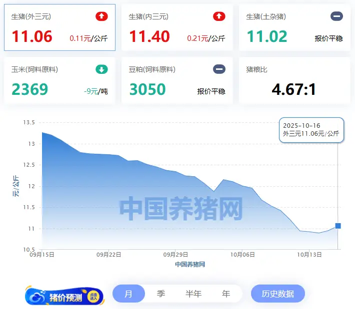 2025年10月16日全国生猪价格走势,这些地区猪价上涨