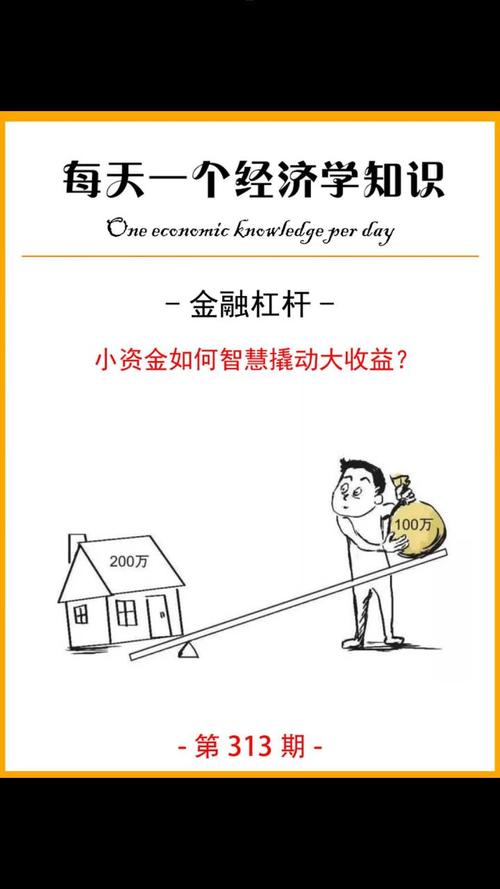 金融杠杆原理_金融杠杆工具定义_金融杠杆