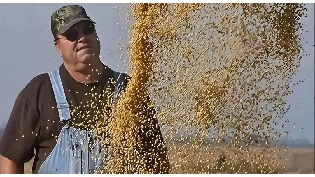 巴西圣保罗港大豆库存危机蔓延，根源竟是对中国贸易主动权误判？