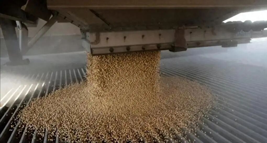 巴西大豆库存危机_中国大豆进口多元化战略_未来五年大豆行情