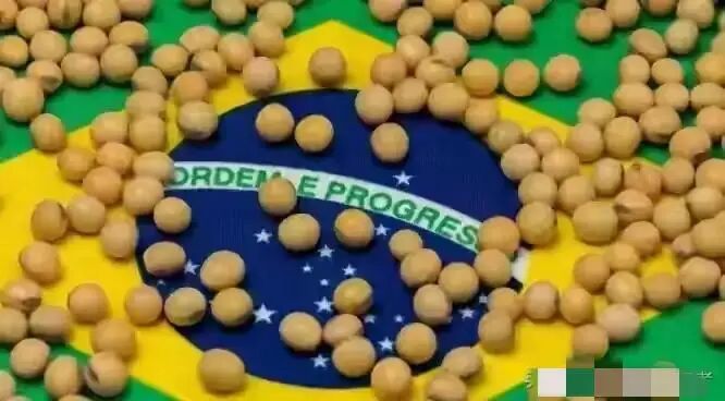 未来五年大豆行情_巴西大豆库存危机_中国大豆进口多元化战略