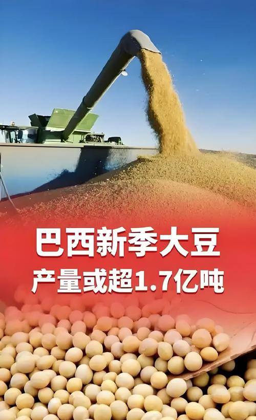 巴西大豆库存危机_中国大豆进口多元化战略_未来五年大豆行情
