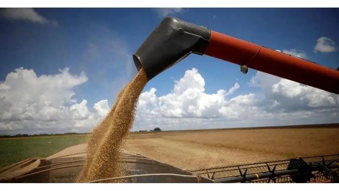 巴西大豆库存危机_中国大豆进口多元化战略_未来五年大豆行情