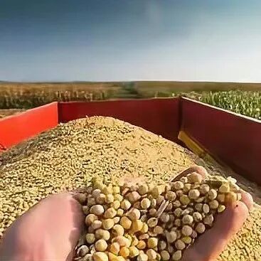 未来五年大豆行情_巴西大豆库存危机_中国大豆进口多元化战略