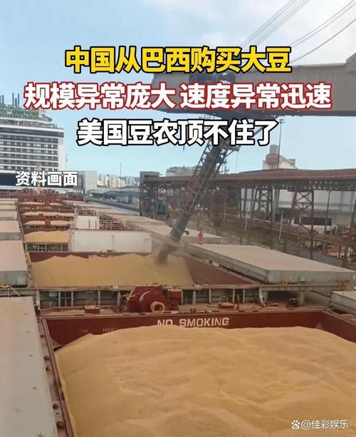 未来五年大豆行情_巴西大豆库存危机_中国大豆进口多元化战略