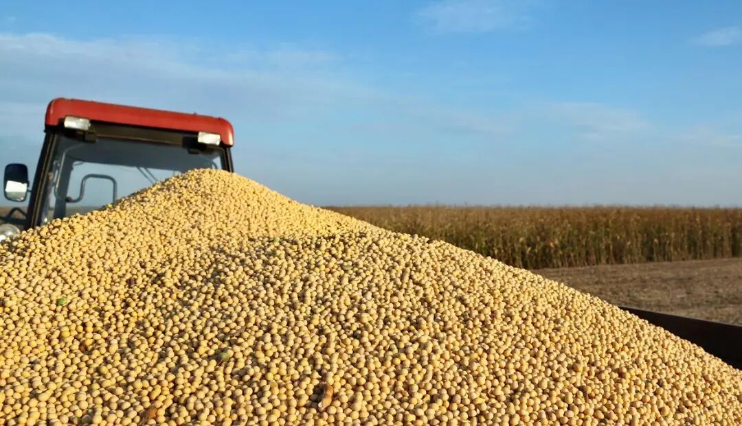 未来五年大豆行情_巴西大豆库存危机_中国大豆进口多元化战略