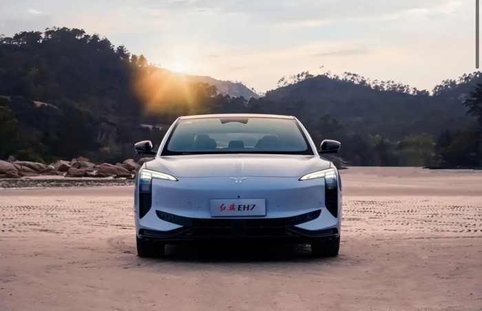 未来油价变动趋势_2025上半年汽油消费总量下降_中国新能源汽车市场份额提升