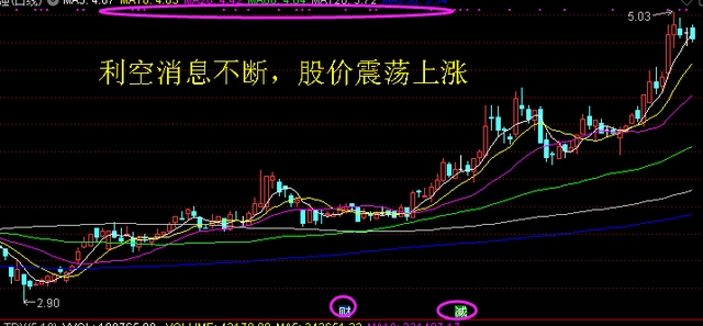 理性投资策略_投资修行_5000元炒股一年赚多少