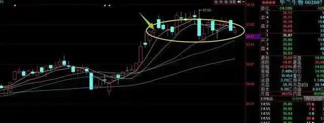 如何通过盘口判断主力操盘意图？抓住资金利用率，识破主力真实目的