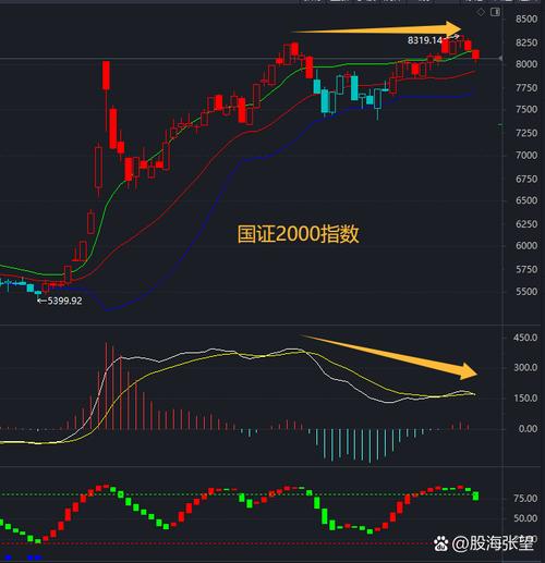 A股2900点震荡_下周方向选择_大盘横盘是什么