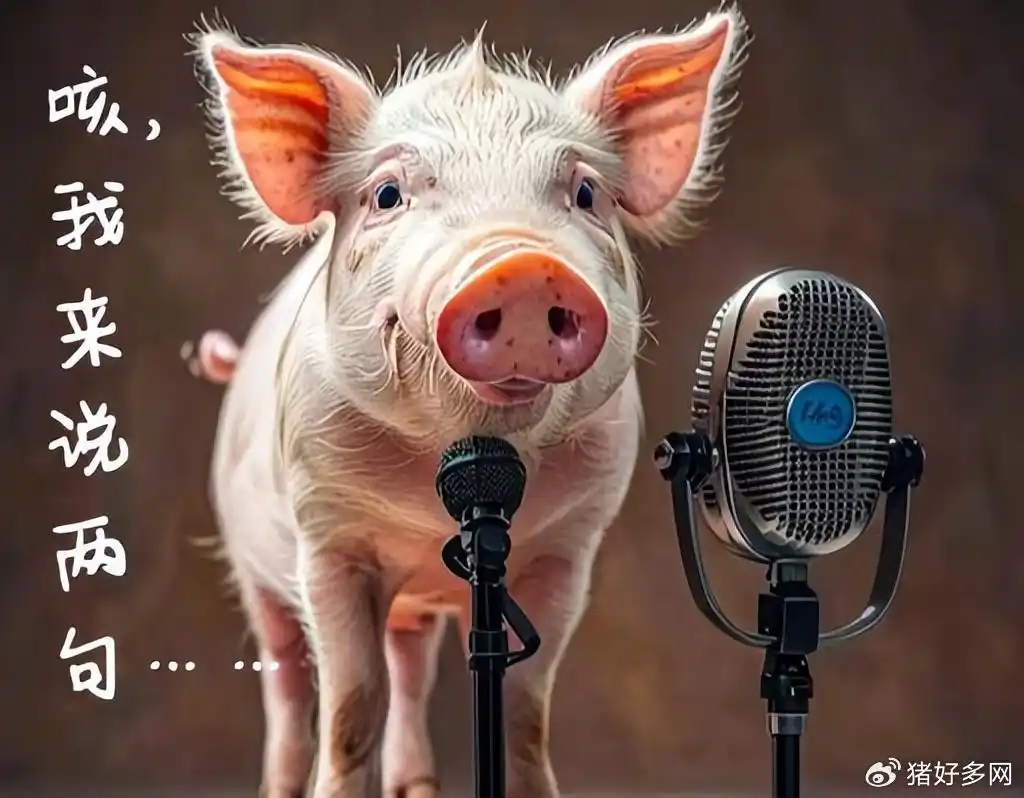 头部猪企扩张极限分析_养猪业的发展趋势_中国生猪养殖规模化率突破70%