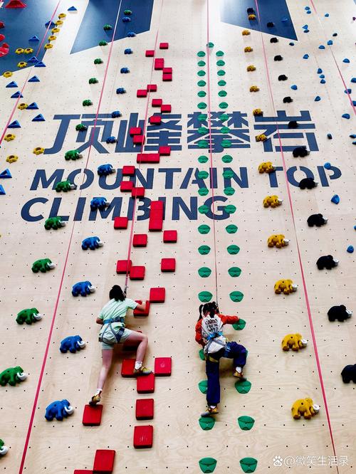 攀岩运动安全性_攀岩运动趋势_攀岩馆安全标准