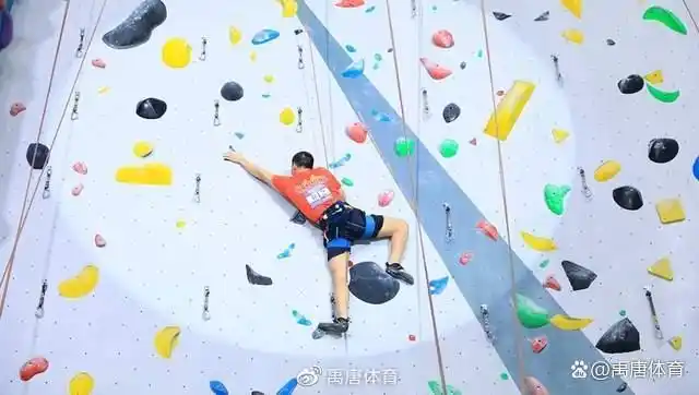 攀岩运动席卷全国：从奥运赛事到大众健身，年轻群体成主力军