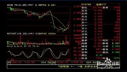 股票初学者看什么书籍？