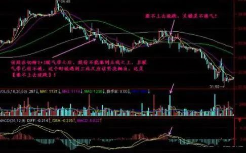 牛市板块轮动顺序_牛市板块顺序_耐心投资重要性