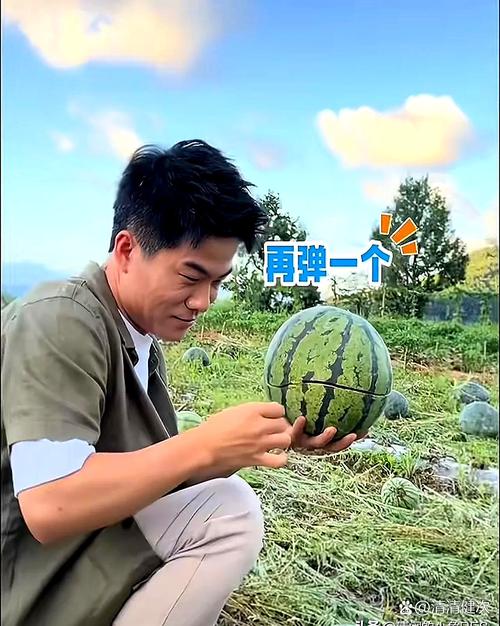 西瓜种植技术指导_蒲城西瓜行情_马建祥科技支农案例