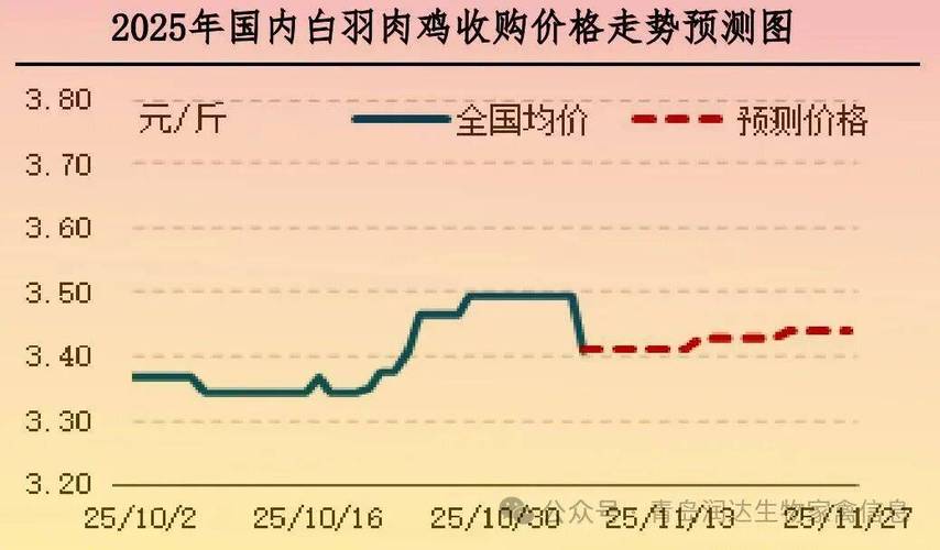 鸡肉贸易转向出口模式_2025年鸡肉出口量下降鸡肉进口量上升_2025年肉鸡行情