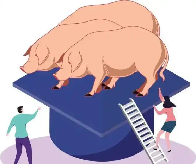 2026年养猪业新趋势，拐点将至，不容错过。稳定增长才是出路。