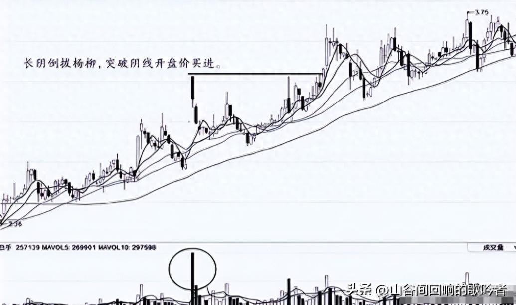 炒股15年经验：看懂主力恐吓式洗盘，抓住主升浪机会