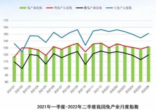 2026年养獭兔赚钱吗？养殖户必看的行情预测与价格走势分析