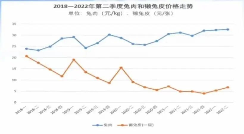 2026獭兔养殖行情_2022年兔产业指数周期性波动态势_2022年上半年兔价格监测情况