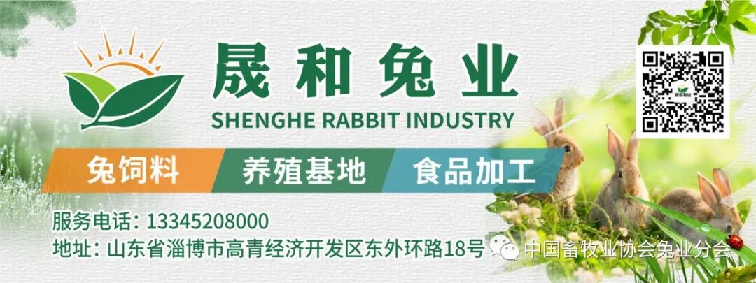 2026獭兔养殖行情_兔产品价格指数分析_2023年8月兔产业发展指数