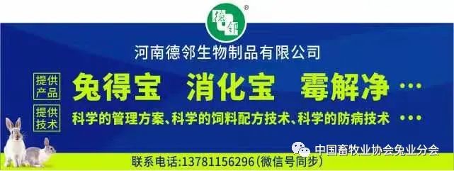 2026獭兔养殖行情_兔产品价格指数分析_2023年8月兔产业发展指数