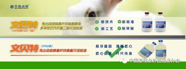 2026獭兔养殖行情_兔产品价格指数分析_2023年8月兔产业发展指数